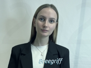 Breegriff
