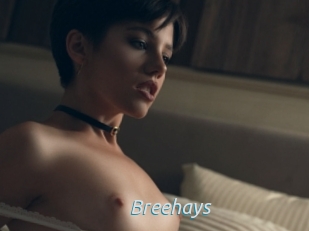 Breehays