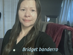 Bridget_banderro