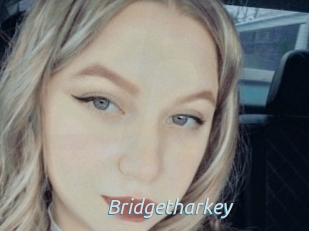 Bridgetharkey