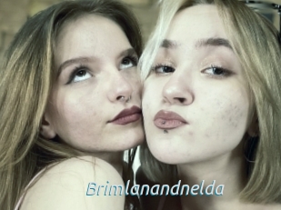 Brimlanandnelda