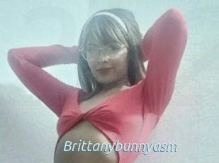 Brittanybunnyasm