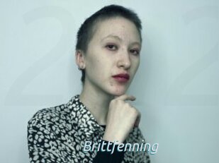 Brittfenning