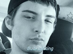 Budkushking