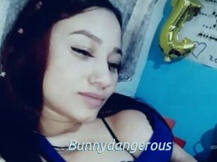 Bunnydangerous