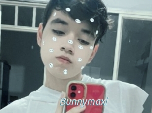 Bunnymaxi