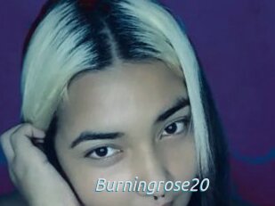 Burningrose20