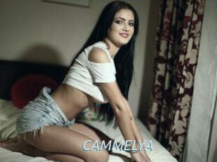 CAMMELYA_