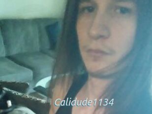Calidude1134