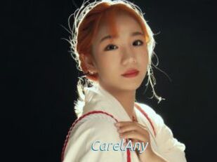 CarelAny