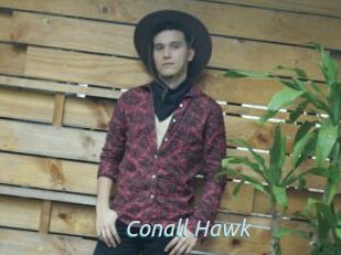 Conall_Hawk