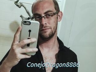 ConejoDragon8886