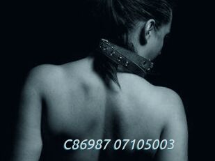 C86987-07105003