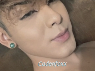 Cadenfoxx
