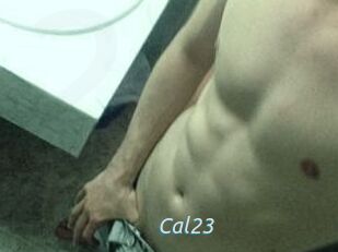 Cal23