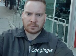 Cangingie