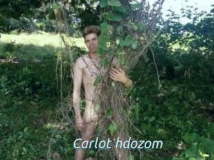 Carlot_hdozom