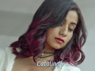 Catalinafox
