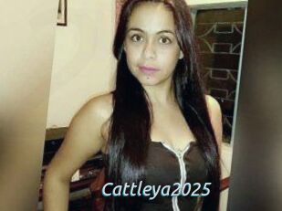 Cattleya2025