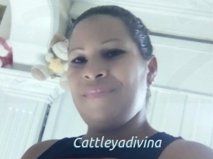 Cattleyadivina
