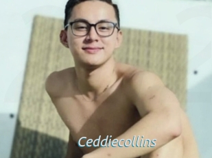 Ceddiecollins