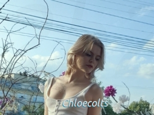 Chloecolts
