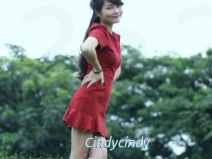 Cindycindy