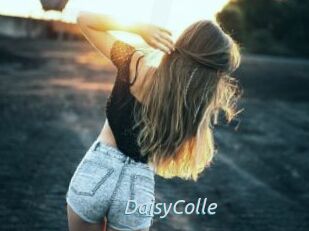 DaisyColle