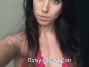 Daisy_Harrington