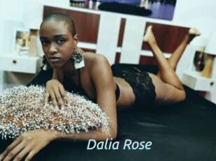 Dalia_Rose