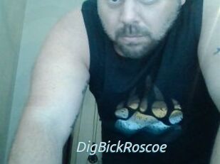 DigBickRoscoe