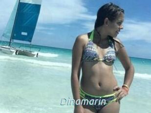 Dinamarin