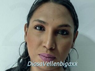 DiosaVellenbigaxx