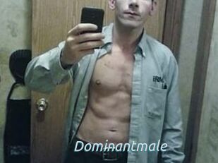 Dominantmale