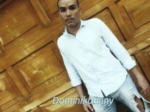 Dominikbunny