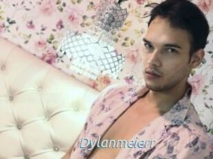 Dylanmeierr