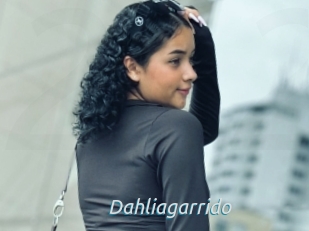 Dahliagarrido