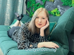 Daisyblooming