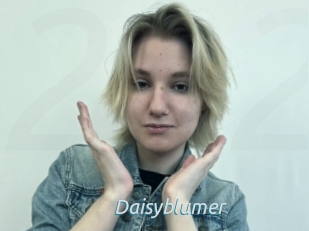 Daisyblumer