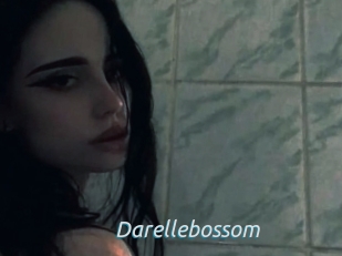 Darellebossom