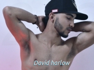 David_harlow