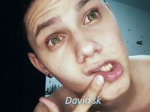 David_sk