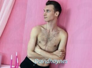 Davidhaynes
