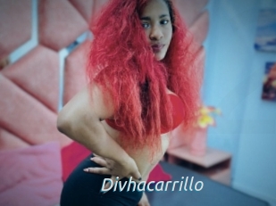 Divhacarrillo
