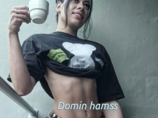Domin_hamss