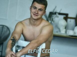 ELFIN_CEDAR