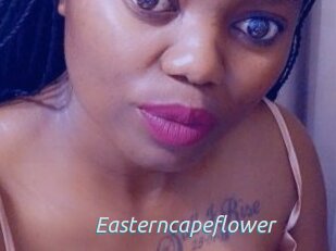 Easterncapeflower