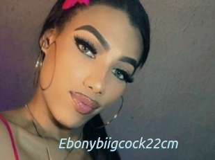 Ebonybiigcock22cm