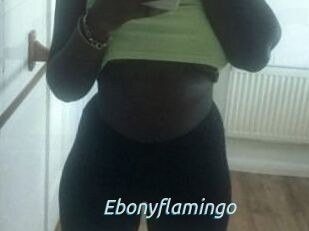 Ebony_flamingo