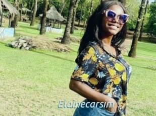 Elainecarsim